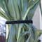 VELCRO® Brand ONE-WRAP® Black Roll, 12ft.